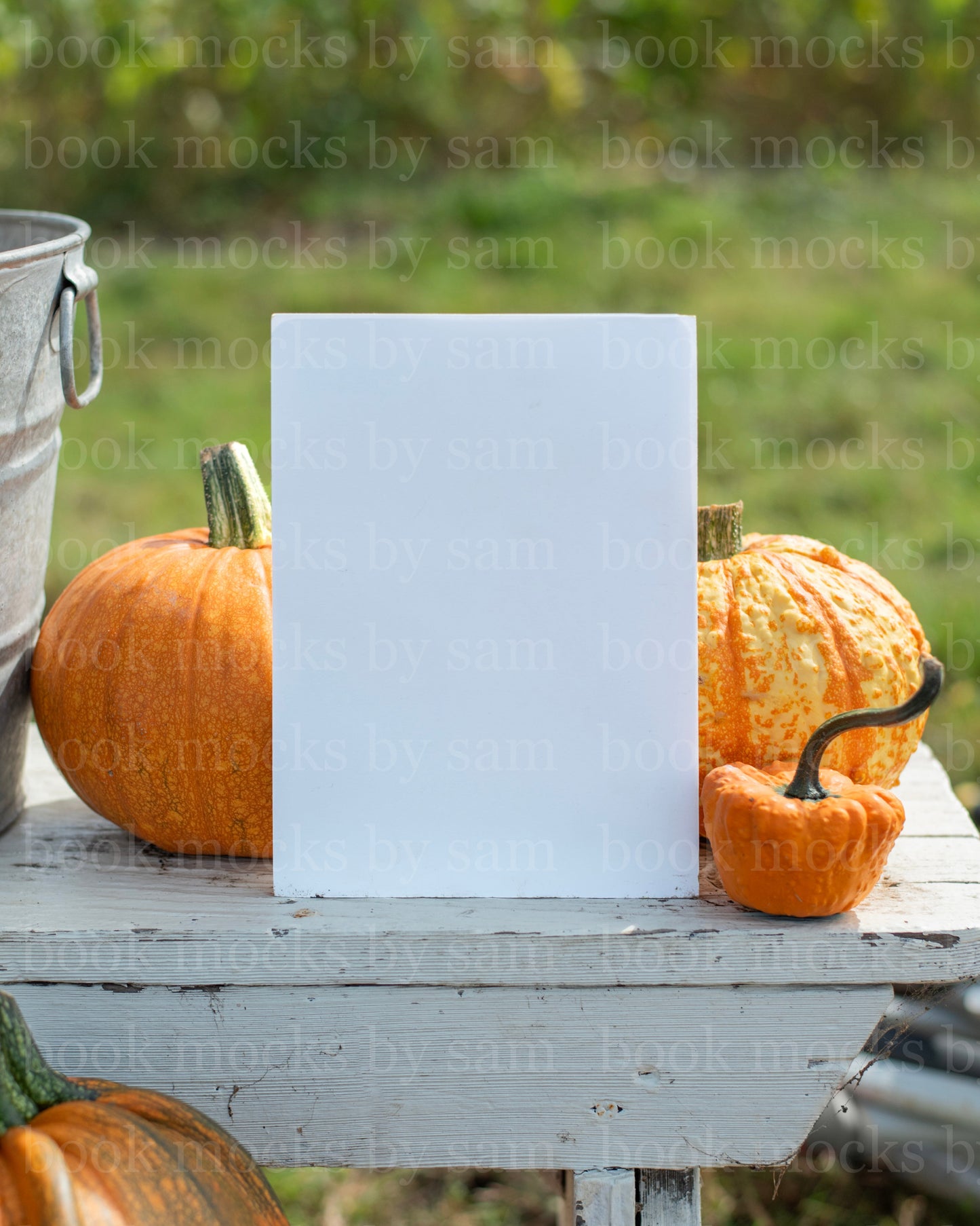 Gourd Garden PB 10
