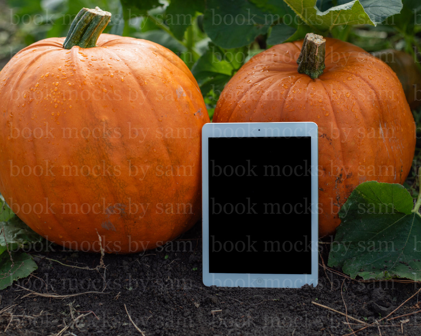 Gourd Garden iPad 5