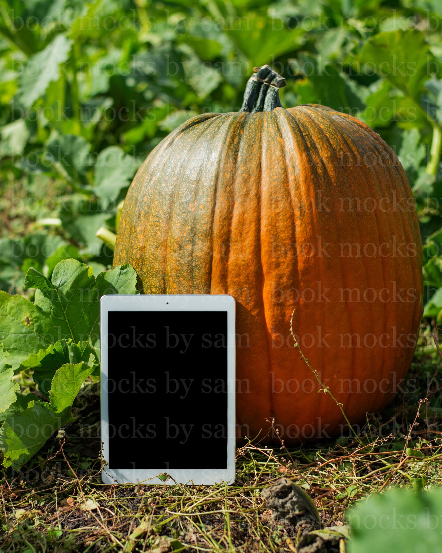 Gourd Garden iPad 8