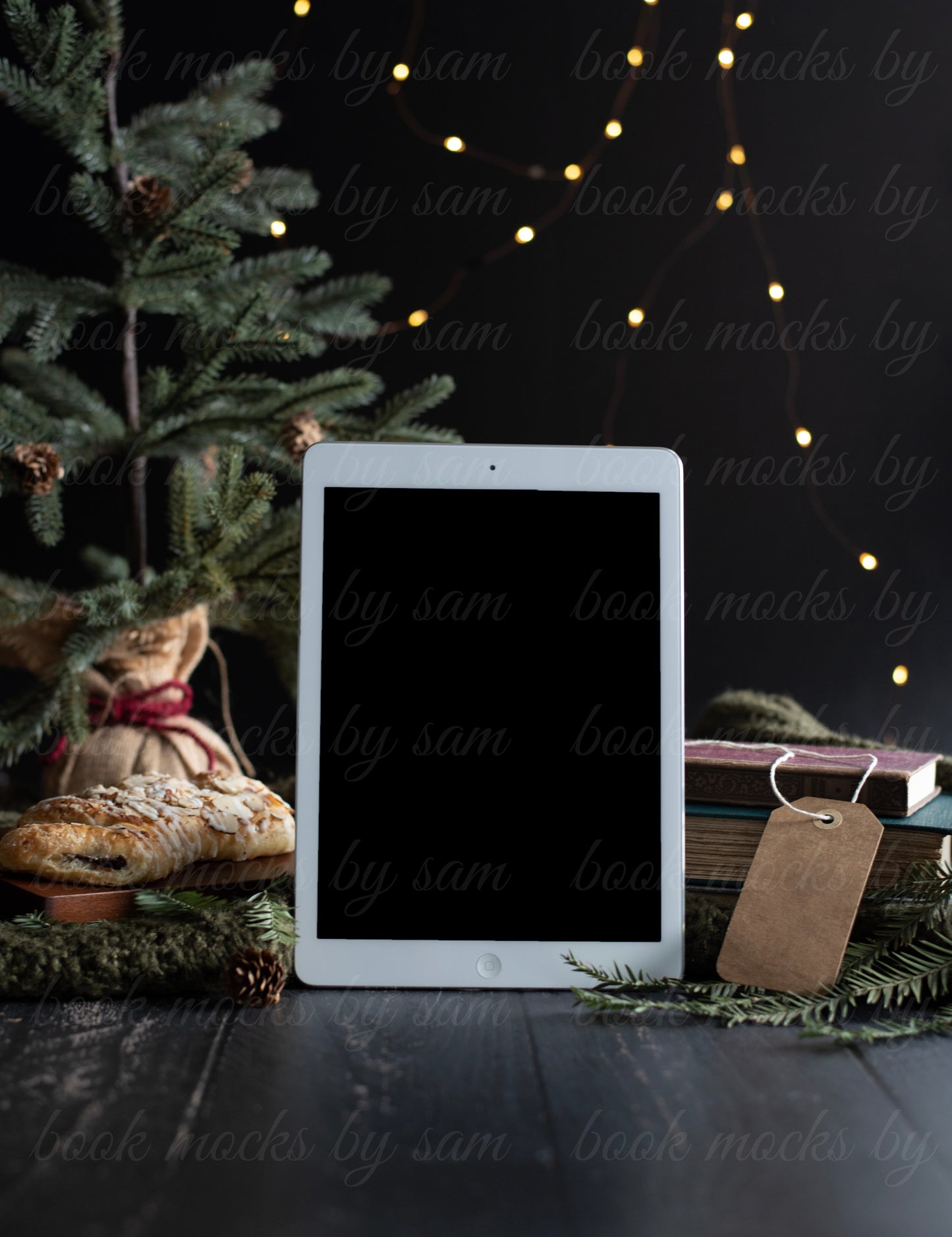 Moody Mistletoe iPad2