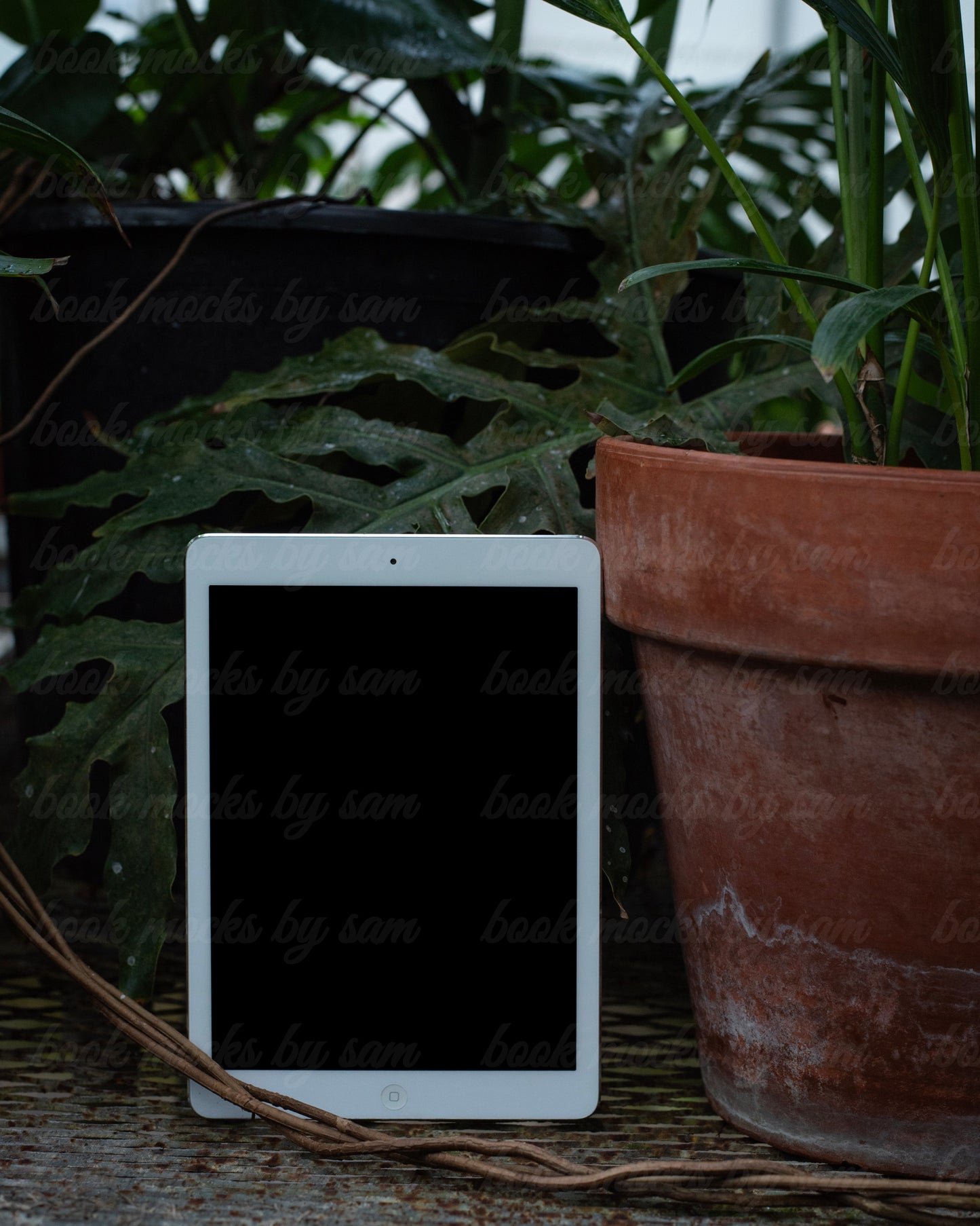 The Greenhouse iPad2