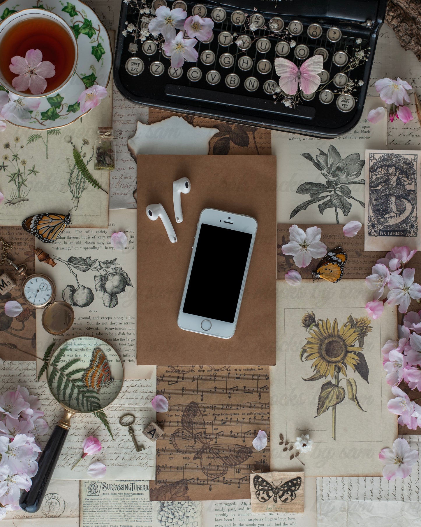 Botanical Study iPhone1