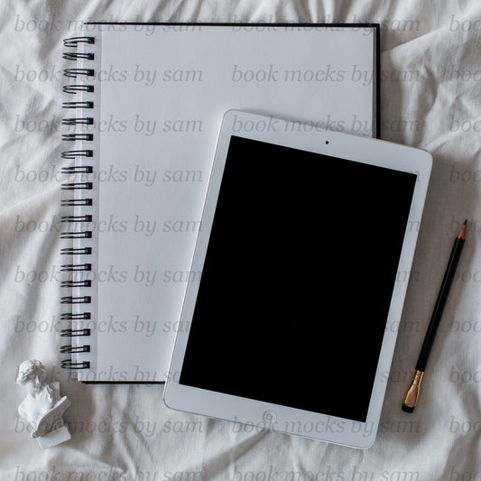 Artsy iPad3