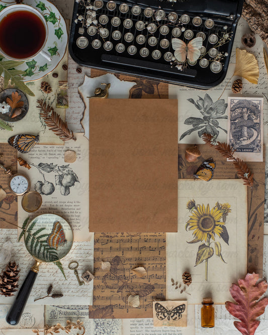 Botanical Study PB3