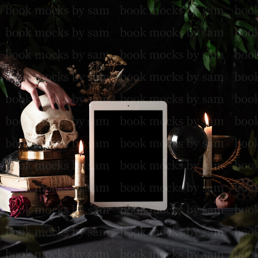 Coffin Couture iPad 3