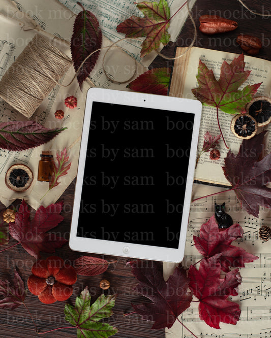 Falling For You iPad 1