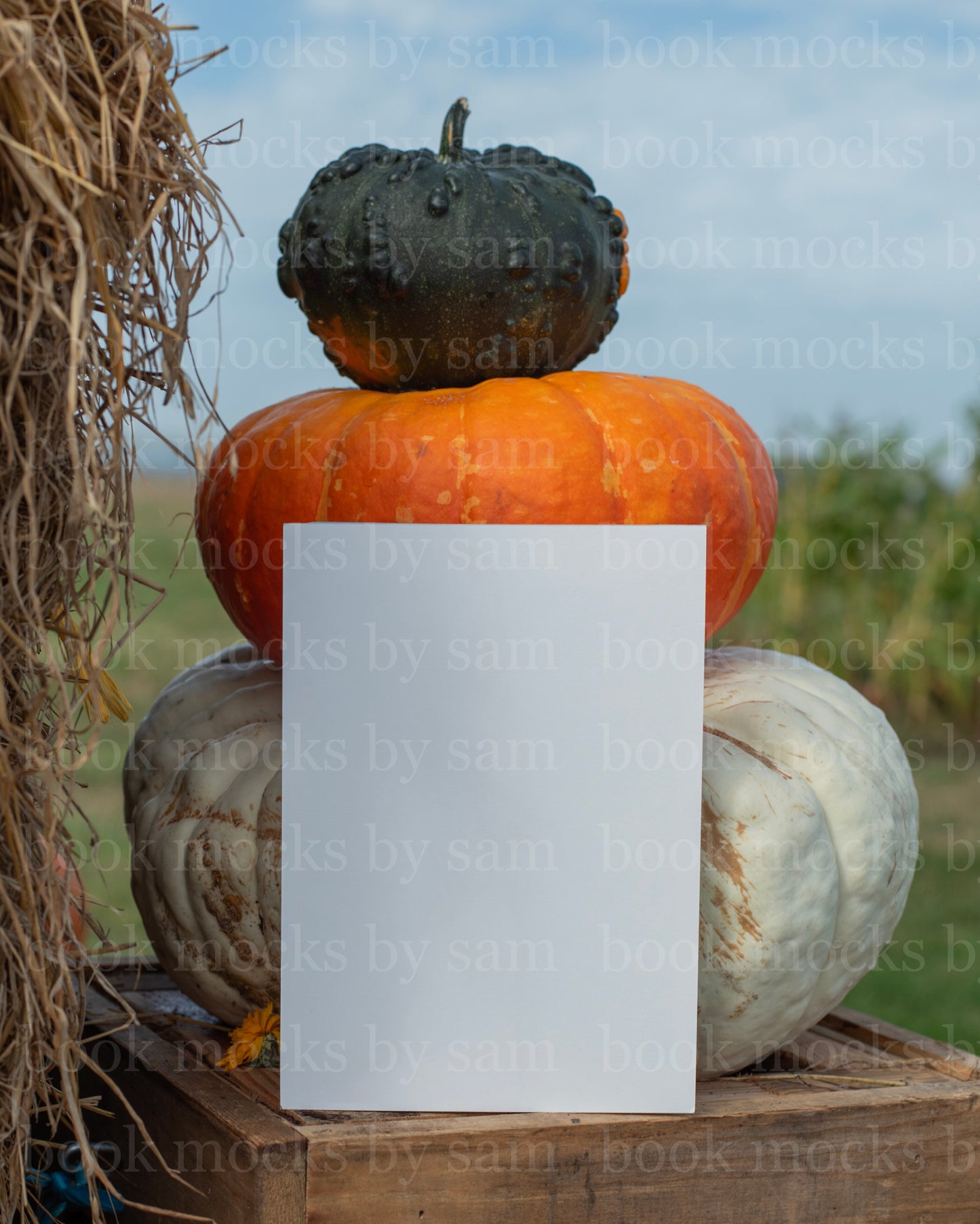 Gourd Garden PB 2
