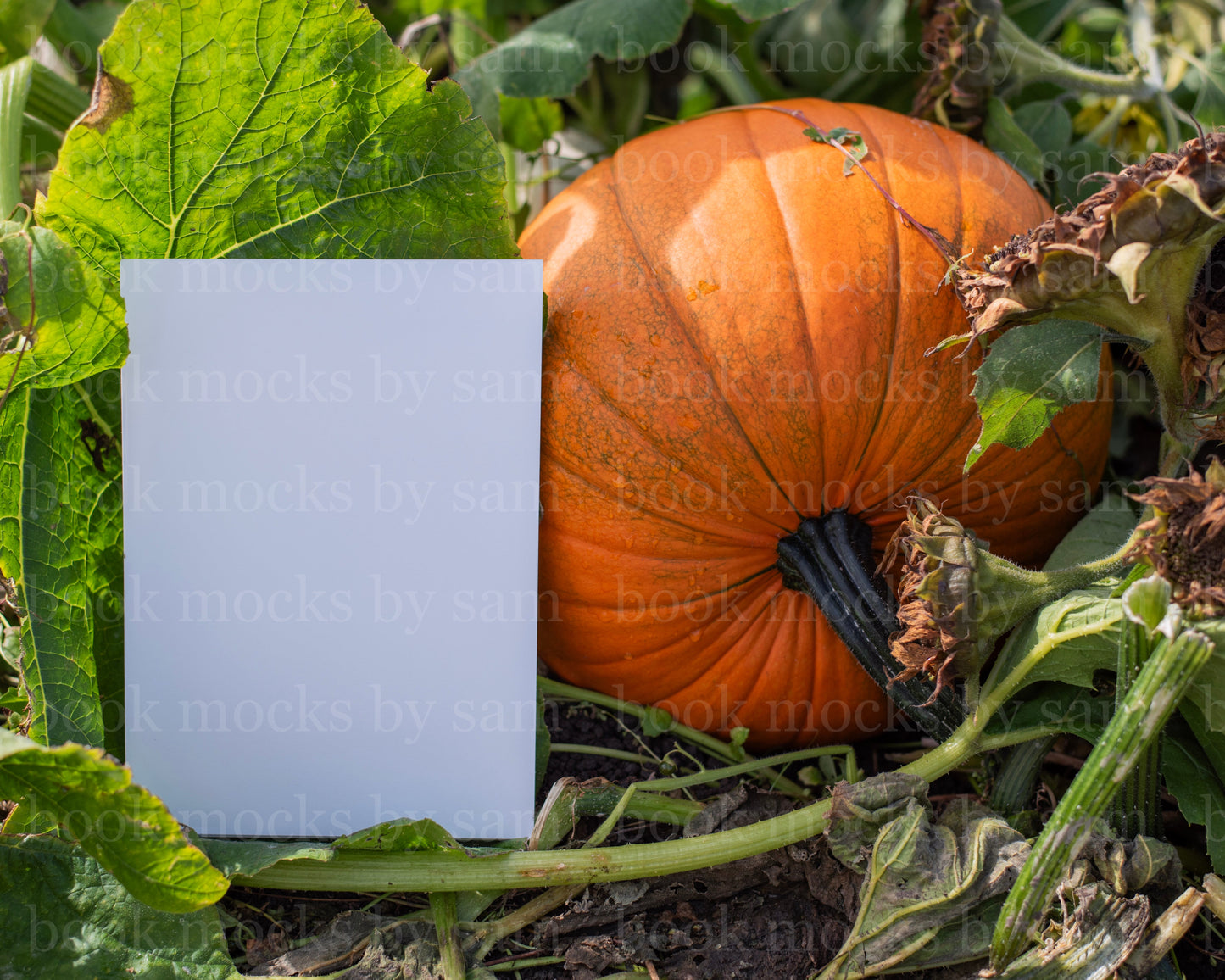 Gourd Garden PB 3