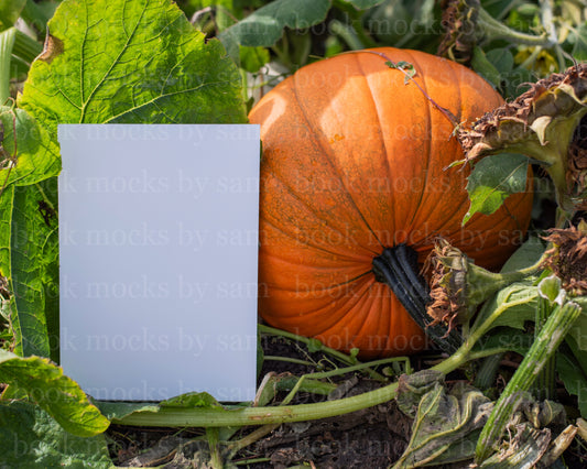Gourd Garden PB 3