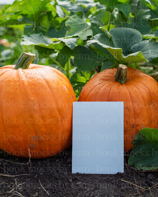Gourd Garden PB 4