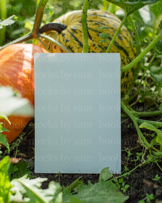 Gourd Garden PB 5