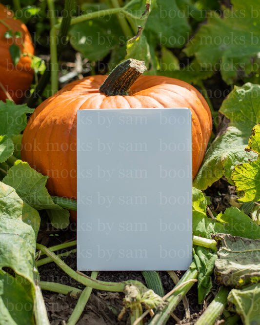 Gourd Garden PB 7