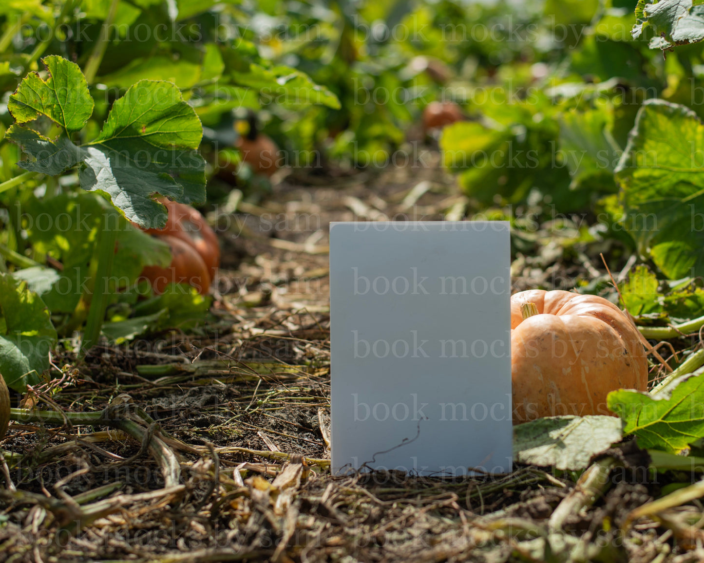 Gourd Garden PB 9