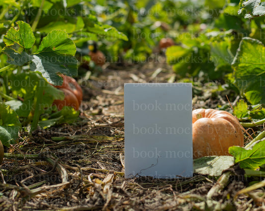 Gourd Garden PB 9