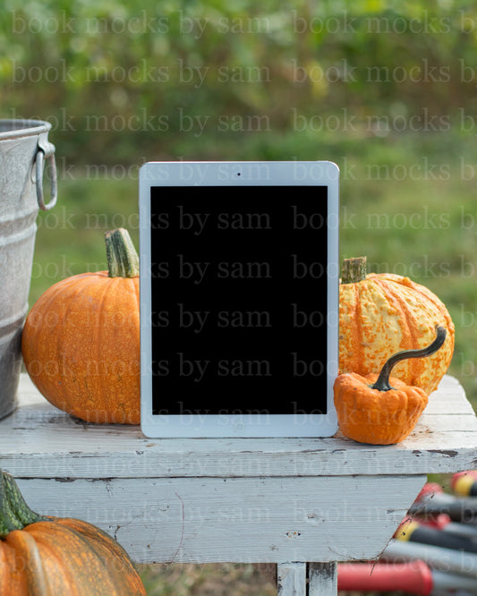 Gourd Garden iPad 11