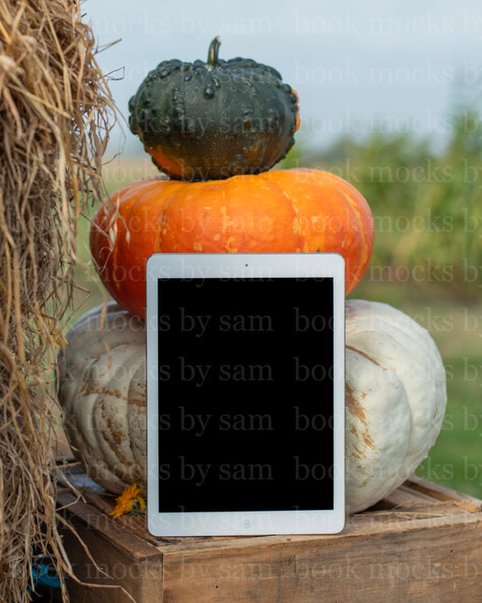 Gourd Garden iPad 2