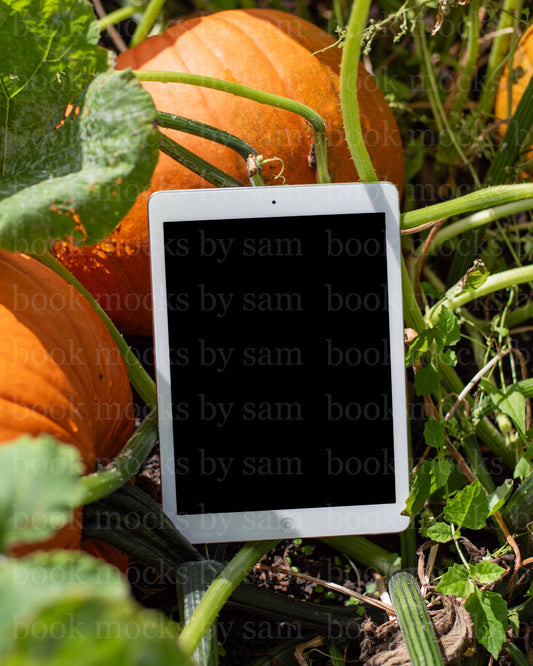 Gourd Garden iPad 6