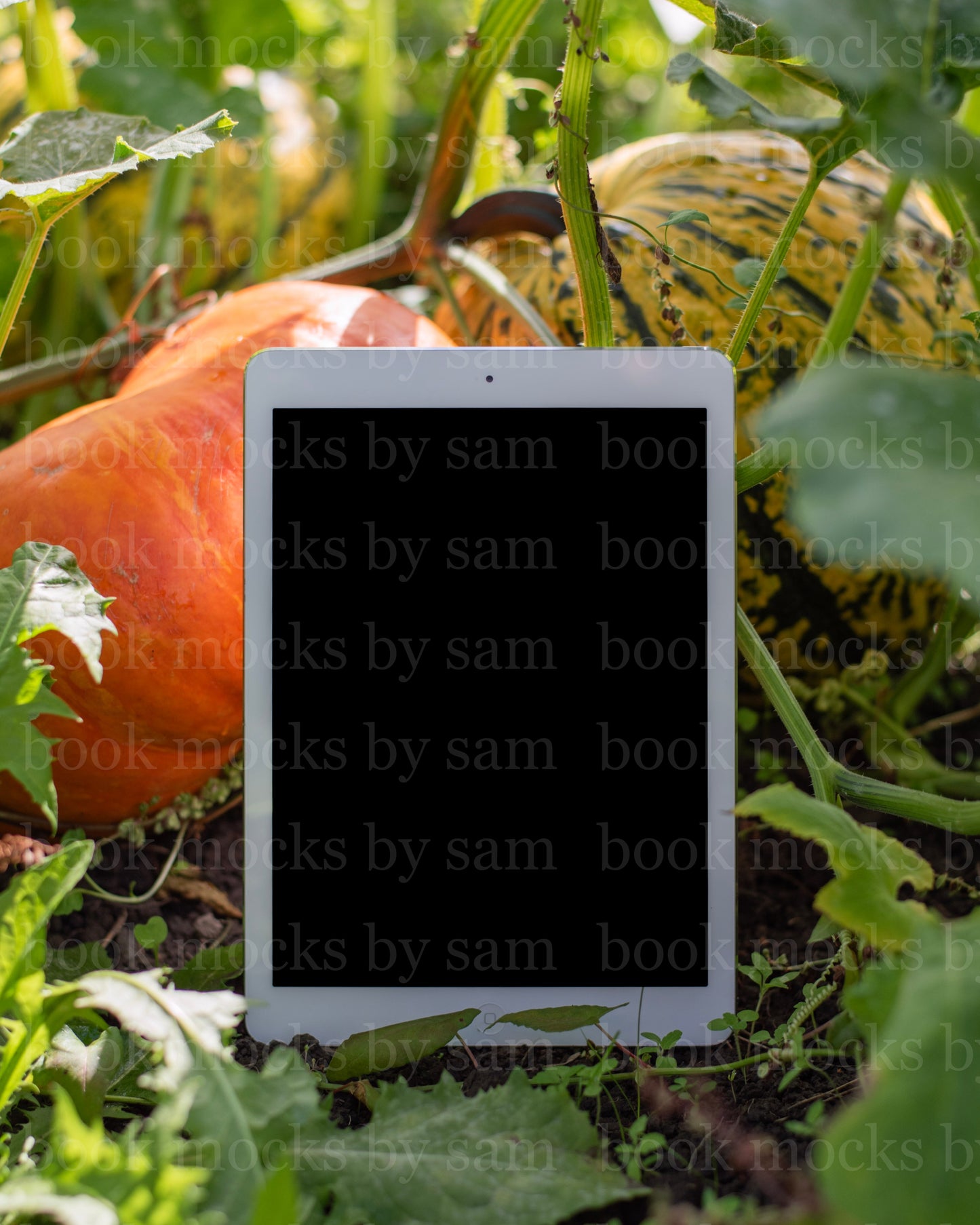 Gourd Garden iPad 7