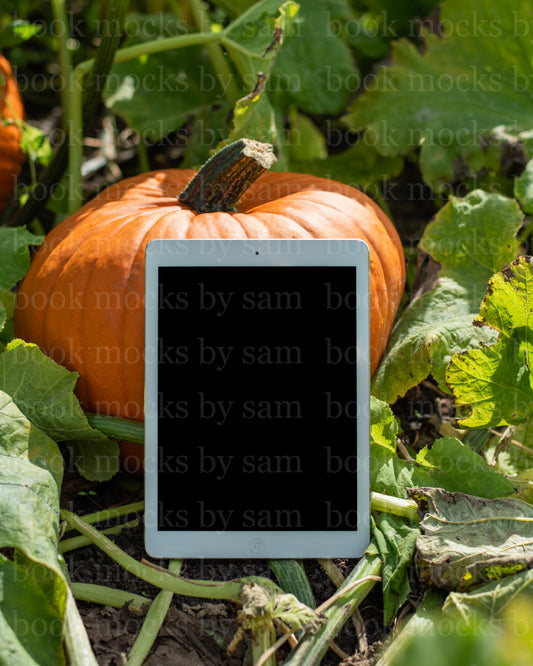 Gourd Garden iPad 9