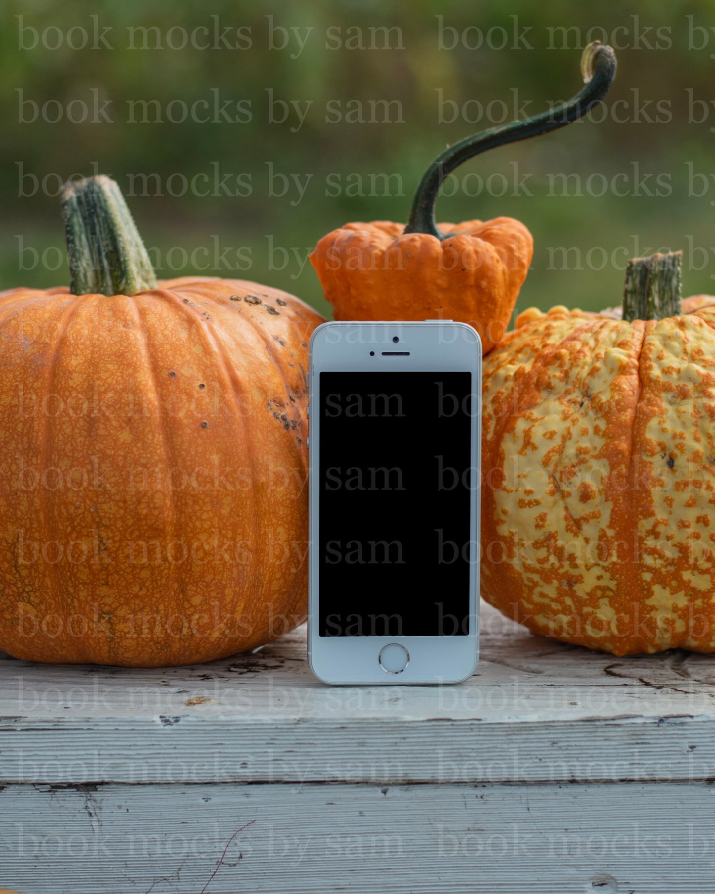 Gourd Garden iPhone 1