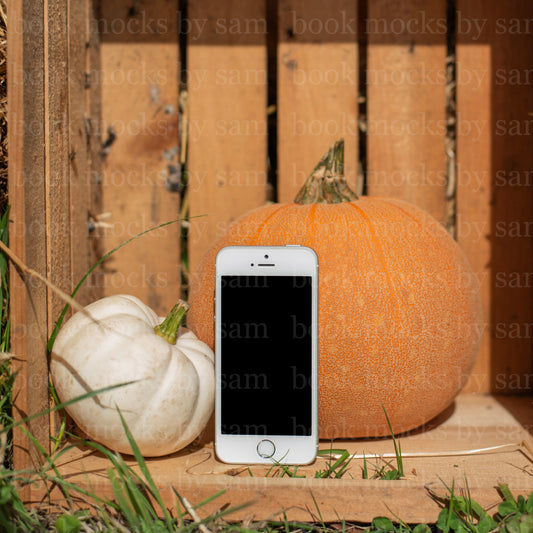 Gourd Garden iPhone 2