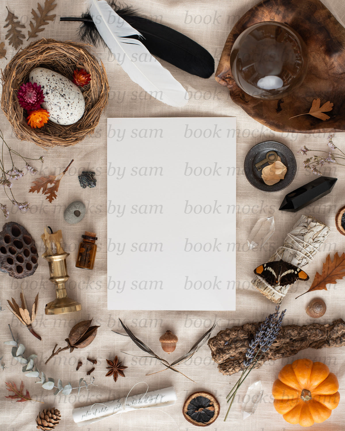 Pining for Fall PB 1