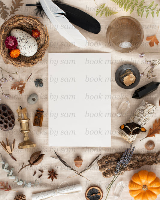 Pining for Fall PB 2
