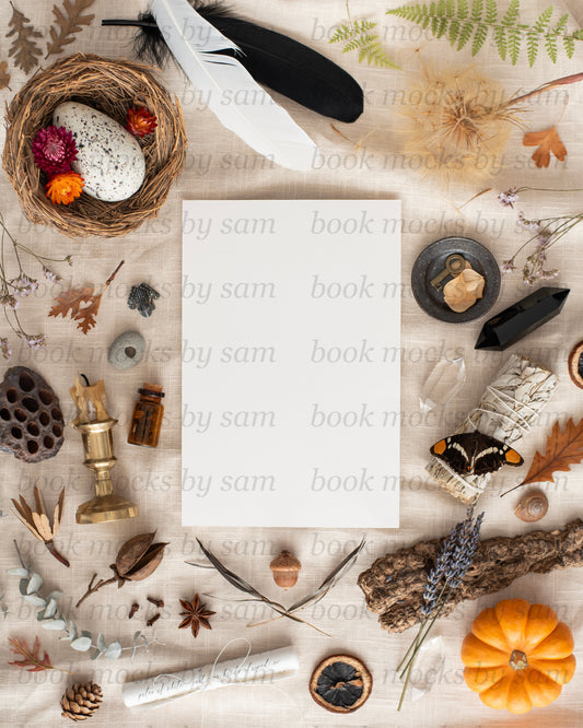 Pining for Fall PB 3