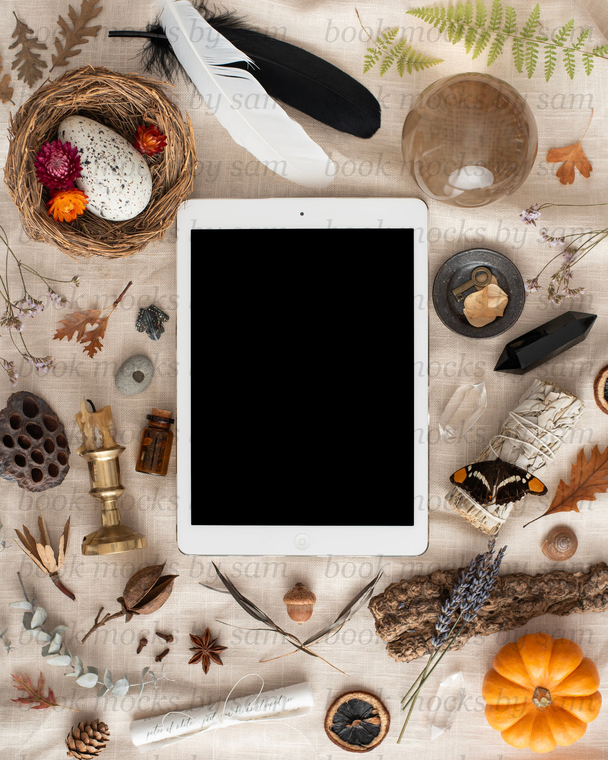 Pining for Fall iPad2