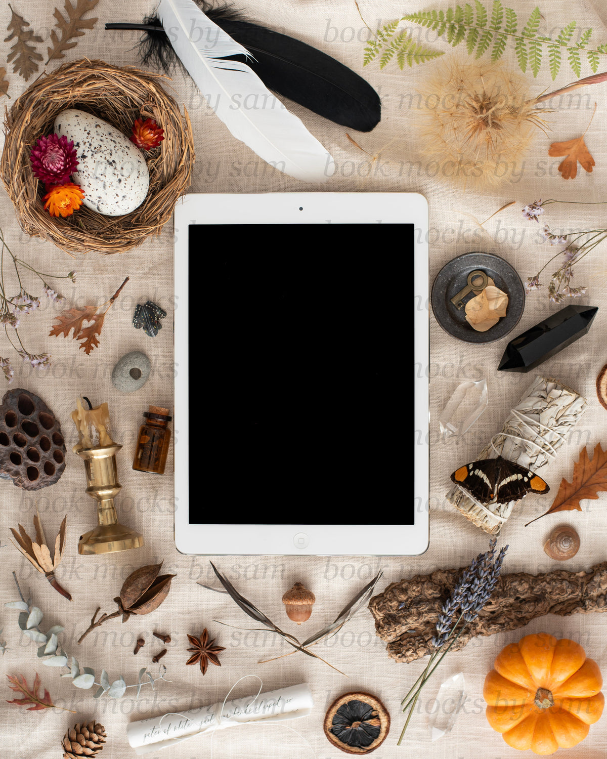 Pining for Fall iPad3
