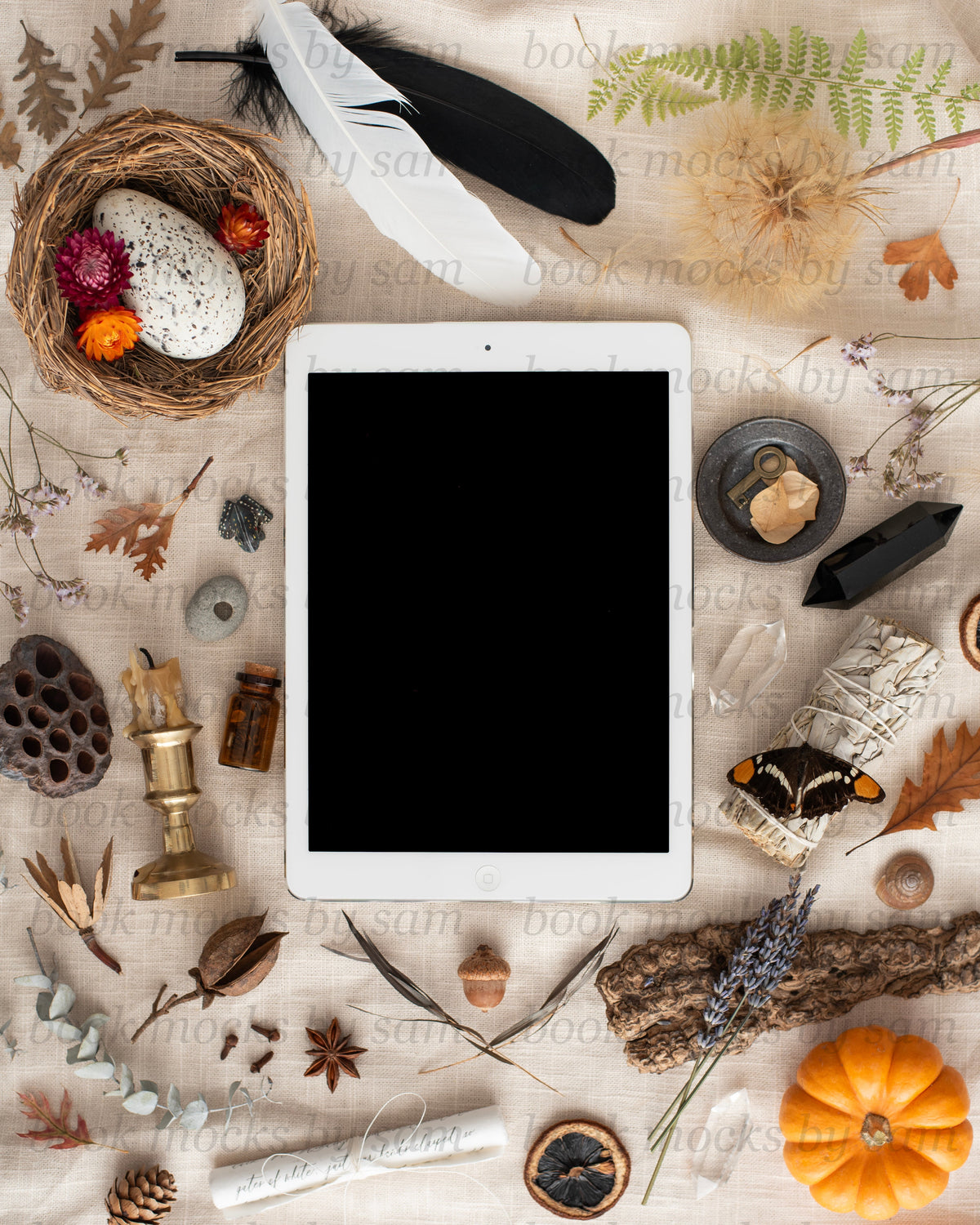 Pining for Fall iPad4