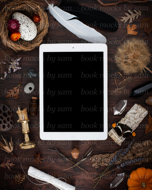 Pining for Fall iPad5