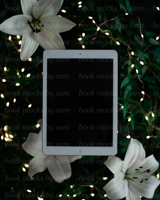 Royal Court iPad 13