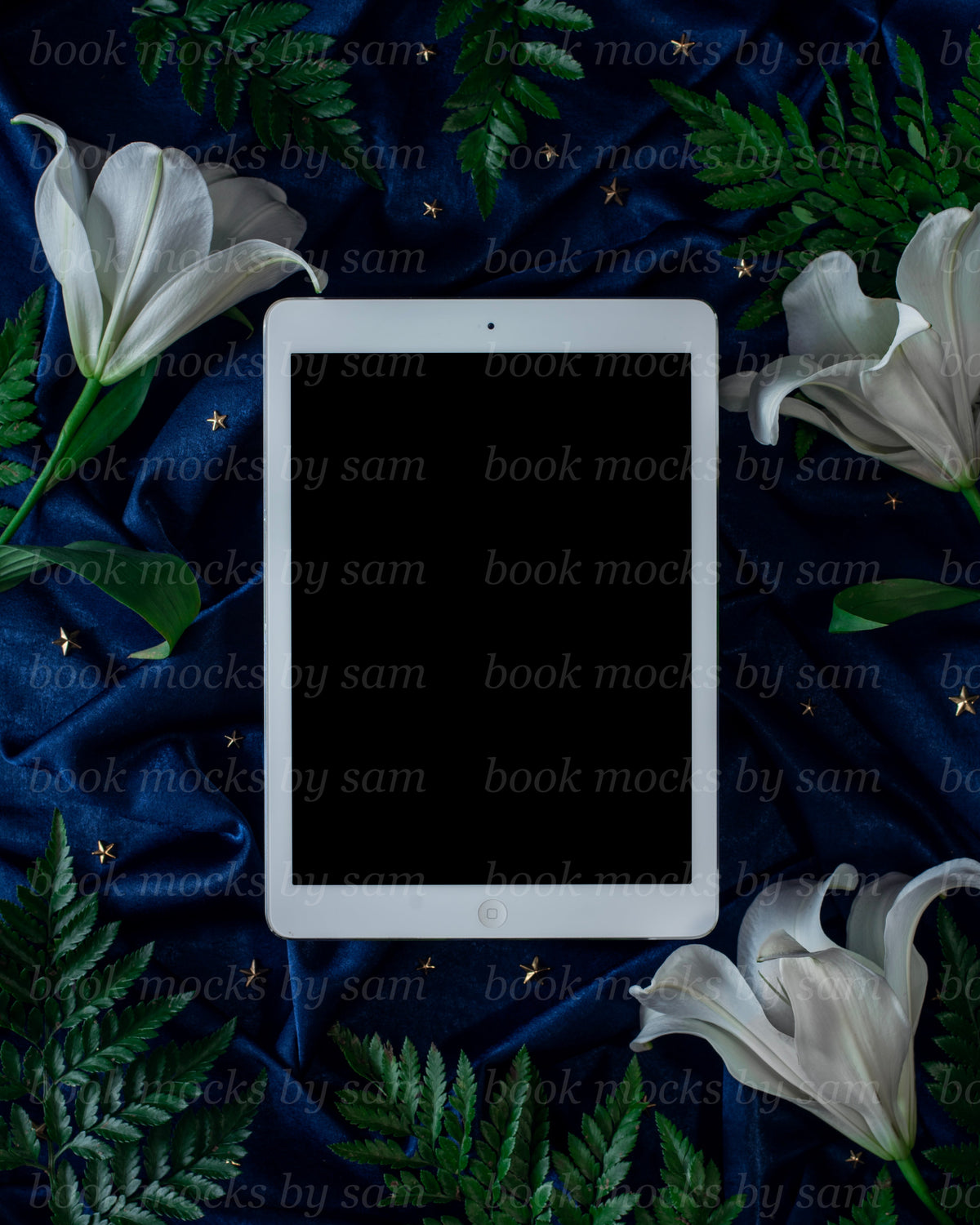 Royal Court iPad 3