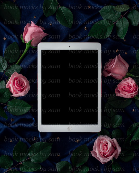 Royal Court iPad 4