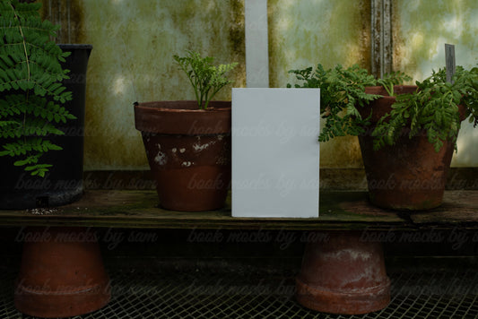 The Greenhouse PB4