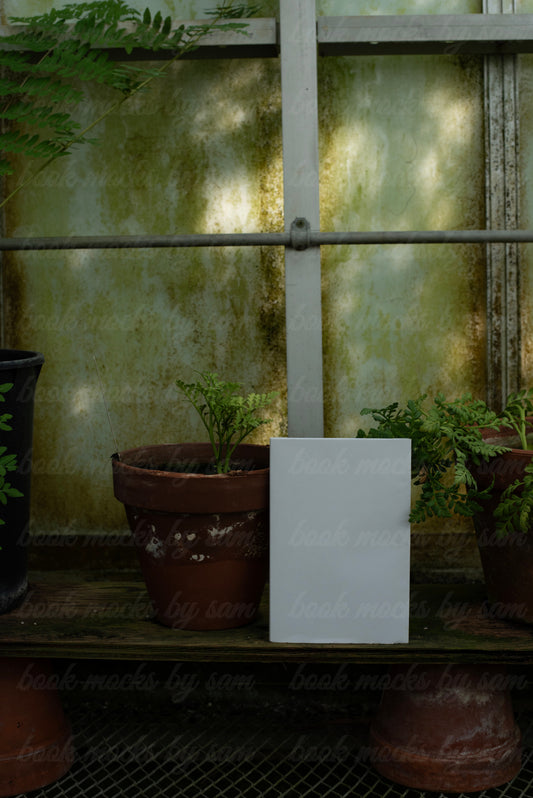 The Greenhouse PB5