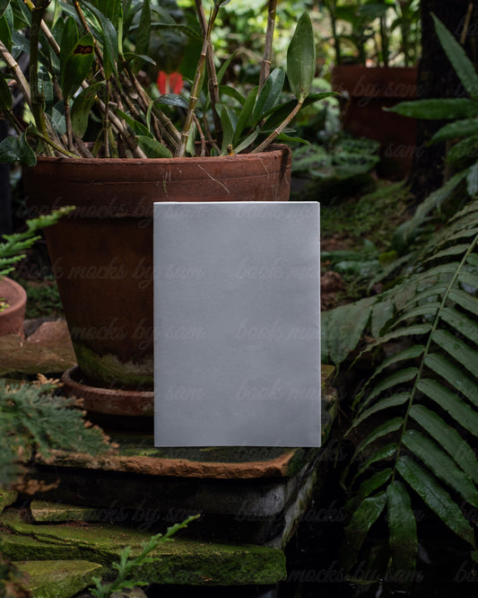 The Greenhouse PB6