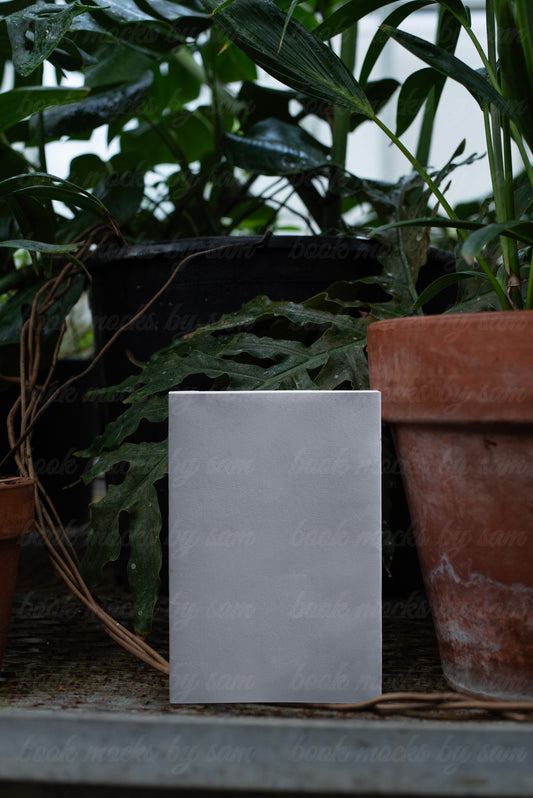The Greenhouse PB8