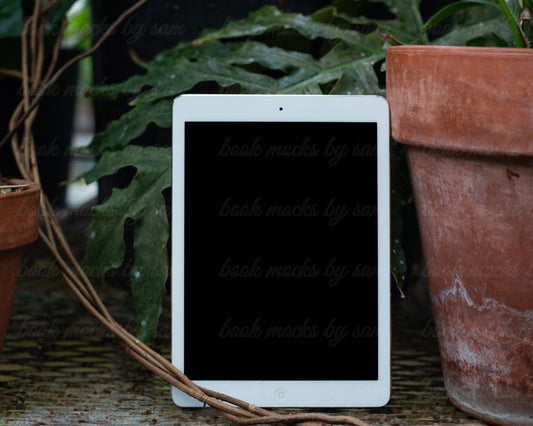 The Greenhouse iPad3