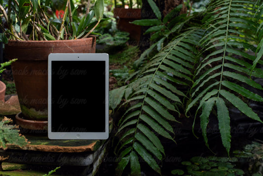 The Greenhouse iPad9